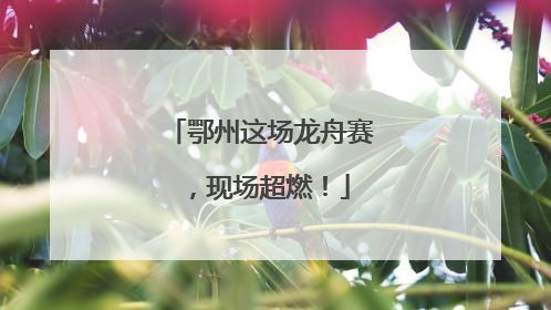 鄂州这场龙舟赛，现场超燃！